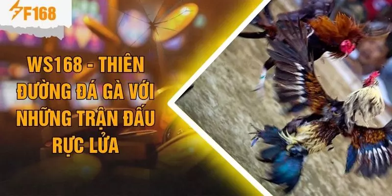WS168 - Thiên Đường Đá Gà Với Những Trận Đấu Rực Lửa